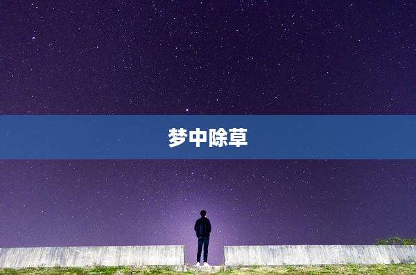 梦中除草