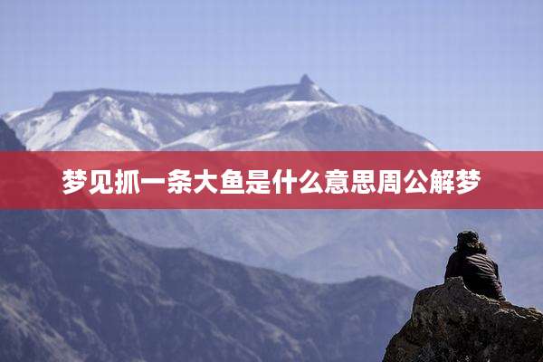 梦见抓一条大鱼是什么意思周公解梦