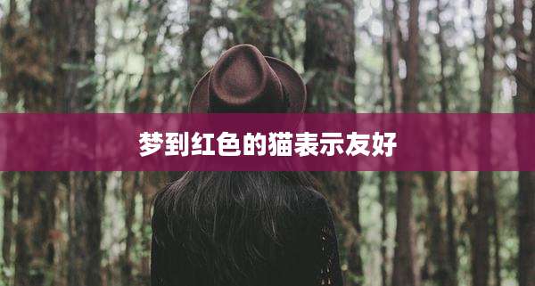 梦到红色的猫表示友好