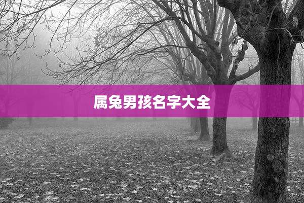 属兔男孩名字大全