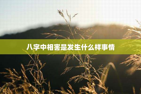 八字中相害是发生什么样事情