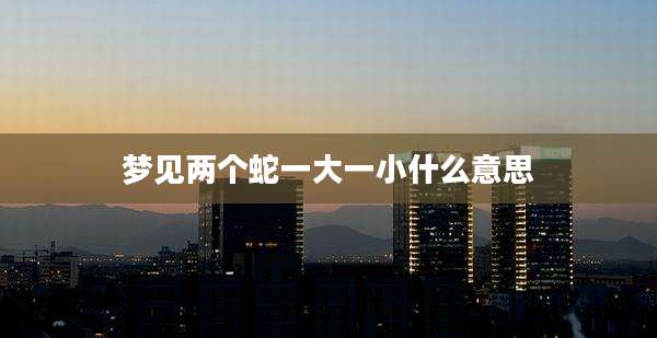 梦见两个蛇一大一小什么意思