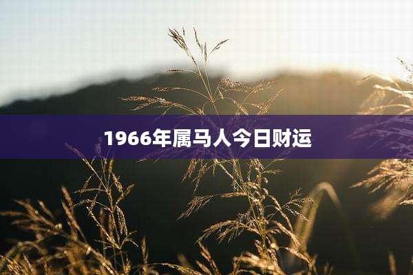 1966年属马人今日财运
