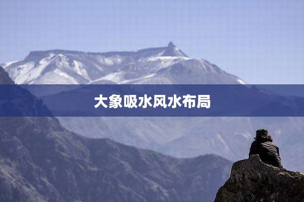 大象吸水风水布局