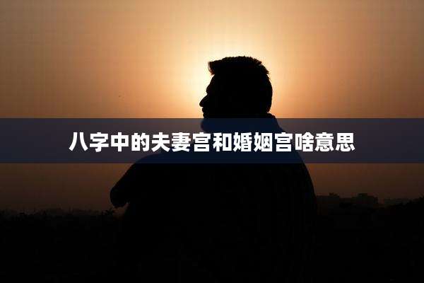 八字中的夫妻宫和婚姻宫啥意思