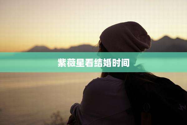 紫薇星看结婚时间