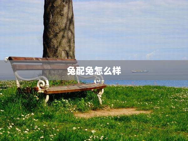 兔配兔怎么样