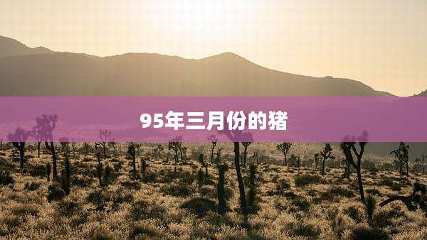 95年三月份的猪
