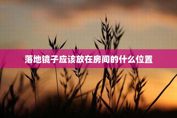 落地镜子应该放在房间的什么位置