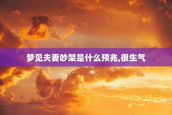 梦见夫妻吵架是什么预兆,很生气