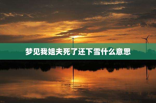 梦见我姐夫死了还下雪什么意思