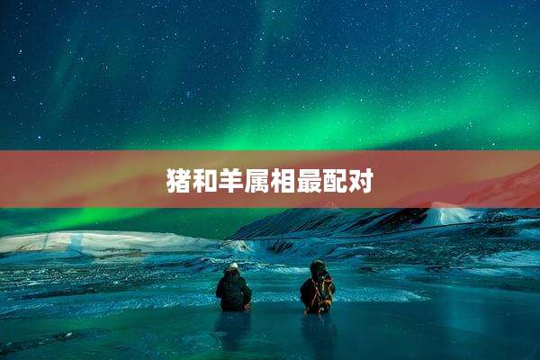 猪和羊属相最配对