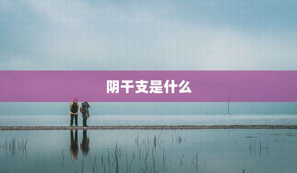 阴干支是什么