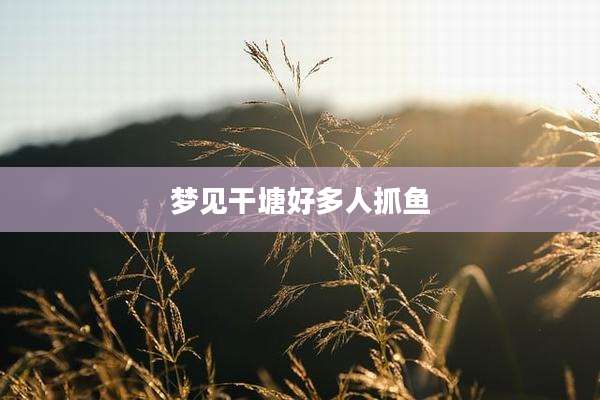 梦见干塘好多人抓鱼