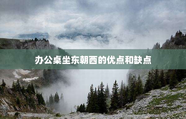 办公桌坐东朝西的优点和缺点