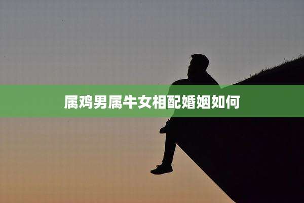 属鸡男属牛女相配婚姻如何
