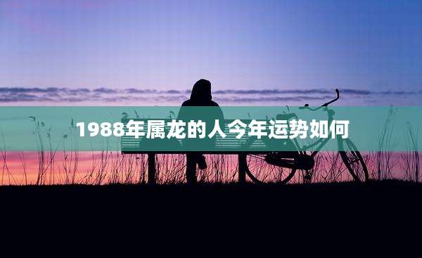1988年属龙的人今年运势如何
