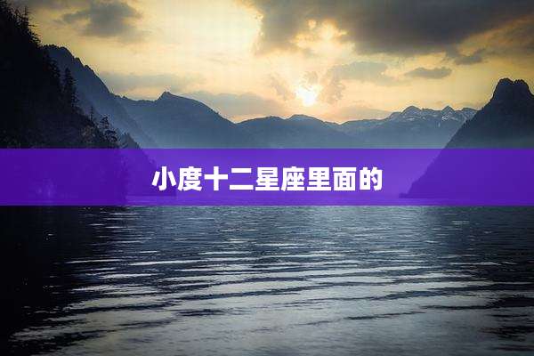 小度十二星座里面的