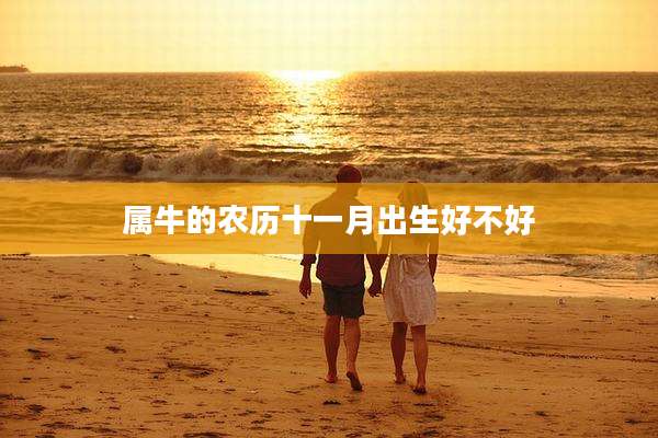 属牛的农历十一月出生好不好