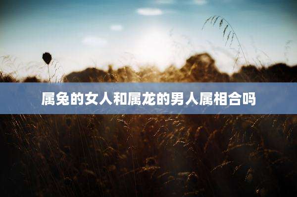 属兔的女人和属龙的男人属相合吗
