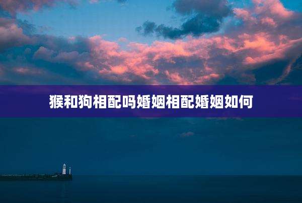 猴和狗相配吗婚姻相配婚姻如何