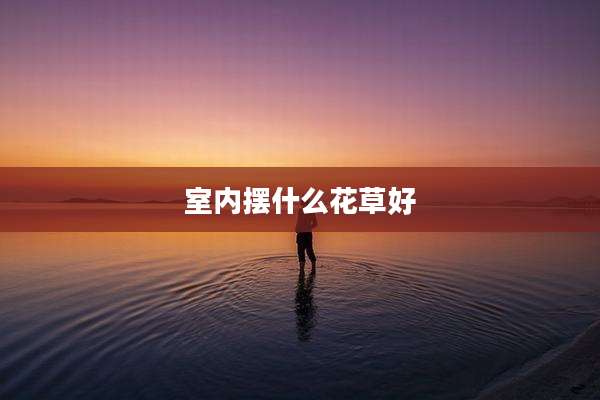 室内摆什么花草好