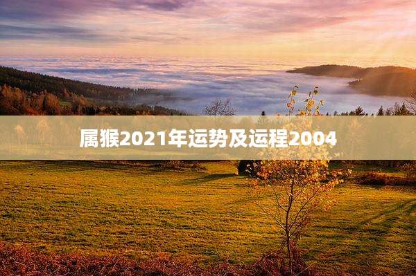 属猴2021年运势及运程2004