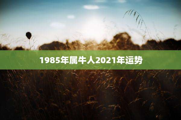 1985年属牛人2021年运势