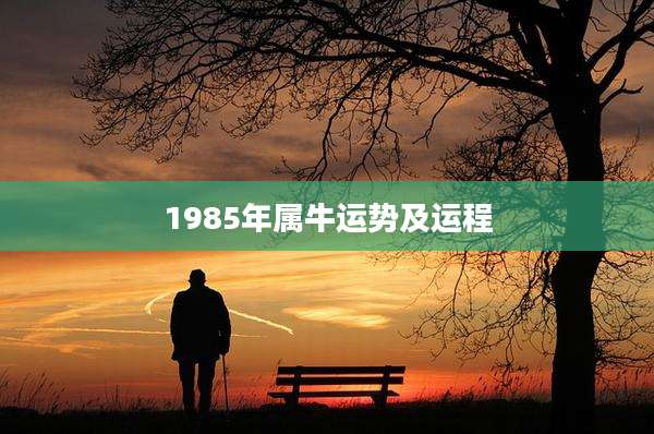 1985年属牛运势及运程