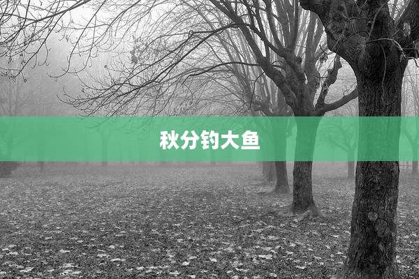 秋分钓大鱼