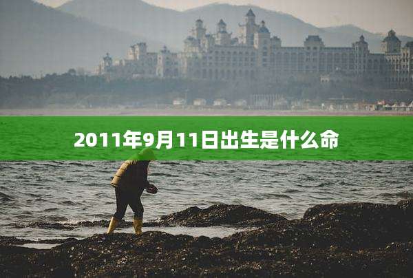 2011年9月11日出生是什么命