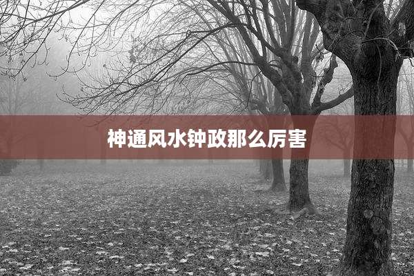 神通风水钟政那么厉害