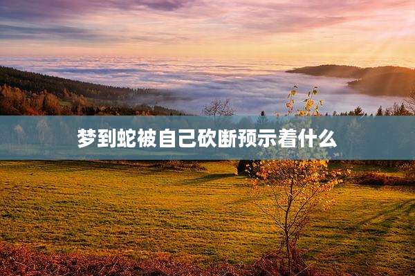 梦到蛇被自己砍断预示着什么