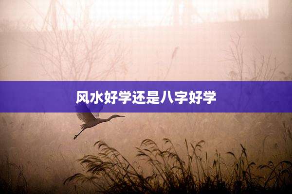 风水好学还是八字好学