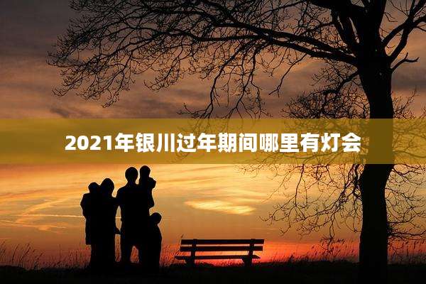 2021年银川过年期间哪里有灯会