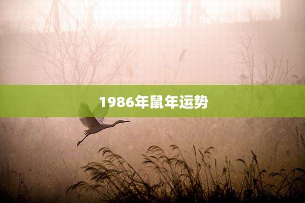 1986年鼠年运势