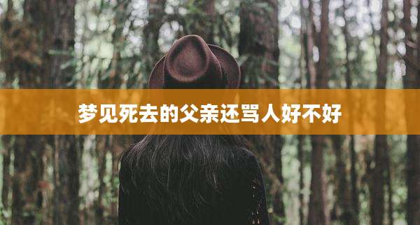 梦见死去的父亲还骂人好不好