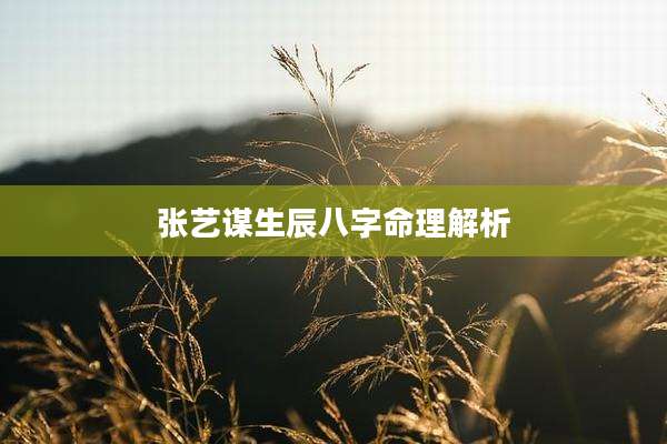 张艺谋生辰八字命理解析