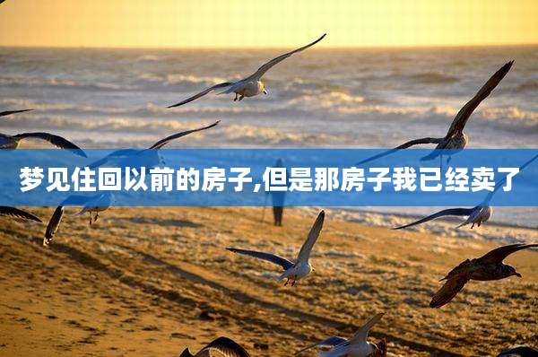 梦见住回以前的房子,但是那房子我已经卖了