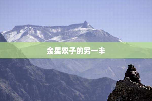 金星双子的另一半