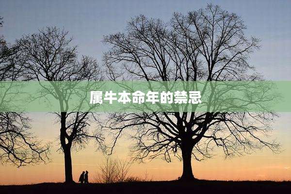 属牛本命年的禁忌