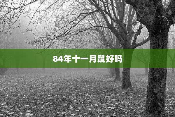 84年十一月鼠好吗