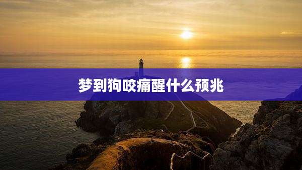 梦到狗咬痛醒什么预兆