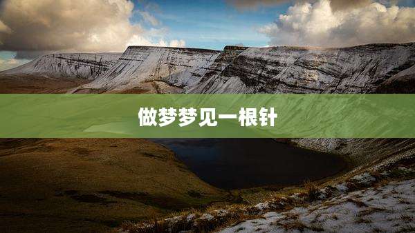 做梦梦见一根针
