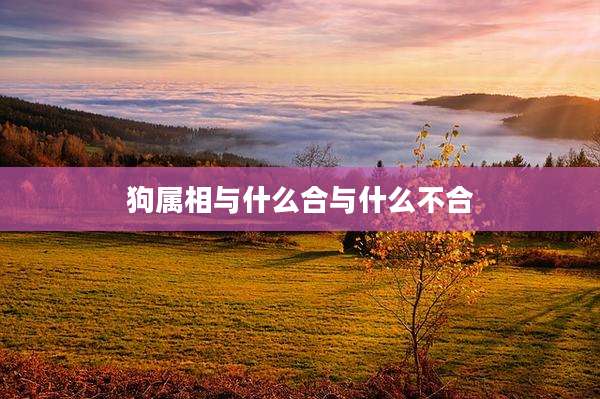 狗属相与什么合与什么不合