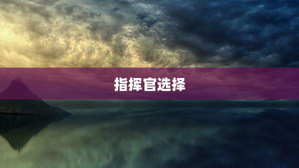 指挥官选择