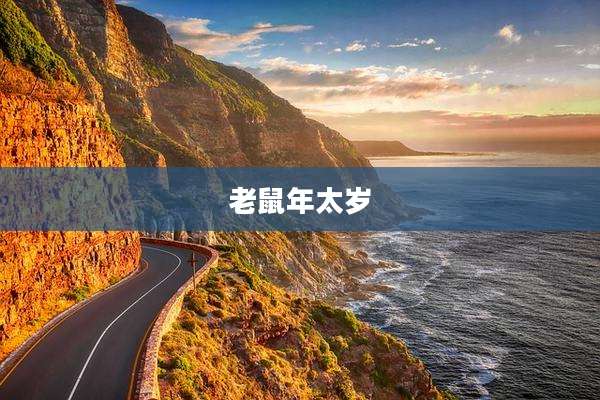 老鼠年太岁