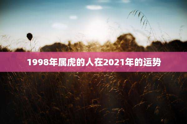 1998年属虎的人在2021年的运势