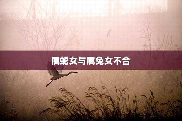 属蛇女与属兔女不合