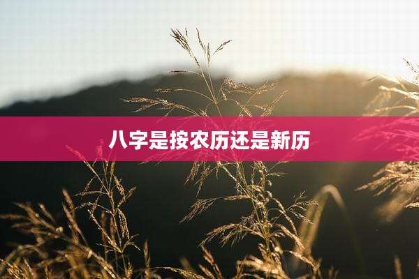 八字是按农历还是新历